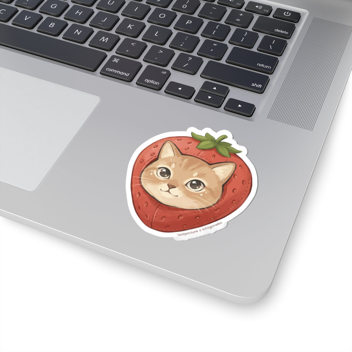 Cute Cat Strawberry Sticker — Kiss-Cut Vinyl Laptop Decal